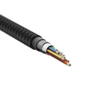 Thumbnail for Next Gen Cable USB to USB-C (3m) Black
